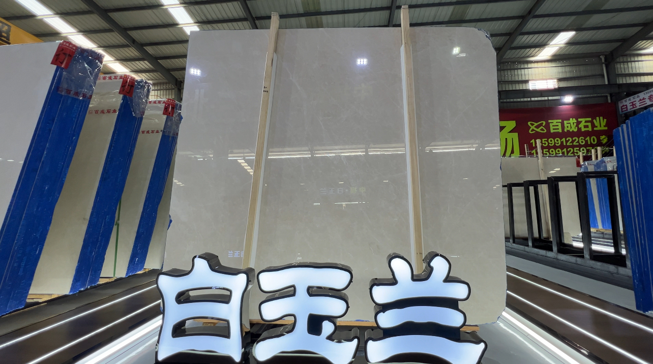 白玉兰大精品7